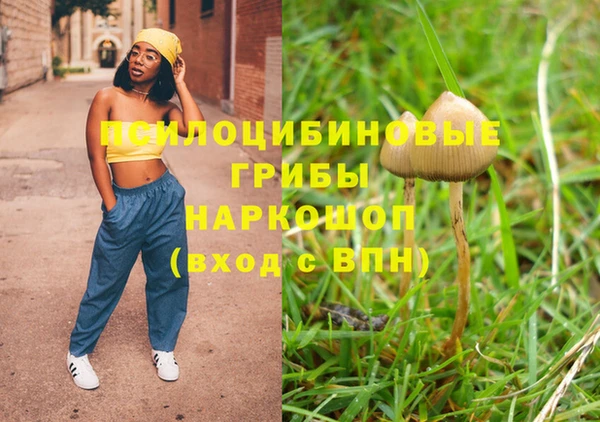 бошки Алзамай