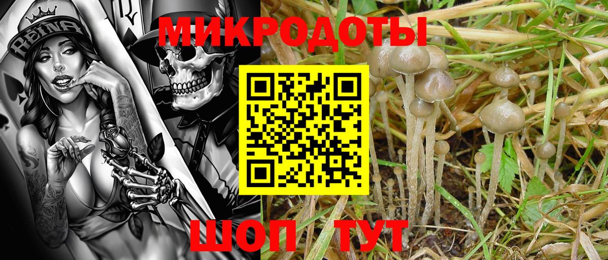 Галлюциногенные грибы мицелий  Псилоцибиновые грибы GOLDEN TEACHER  купить наркотик  Старая Купавна  Вход с VPN 