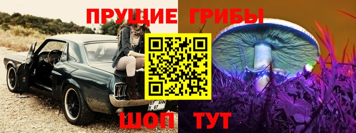 Галлюциногенные грибы мицелий Старая Купавна